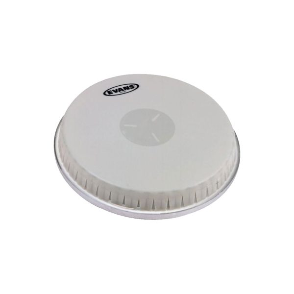 Evans EB09 Parche Bongo 42863Pg