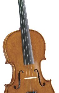 Cremona SV17534 Violin 43558