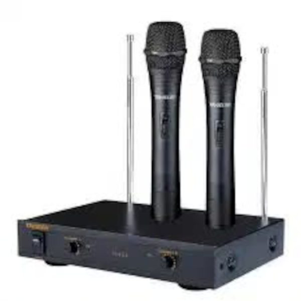 Takstar TS–6310HH Micrófono inalámbrico dos de mano