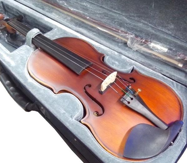 Mc-Art LVE-E800E Violin Electroacustico