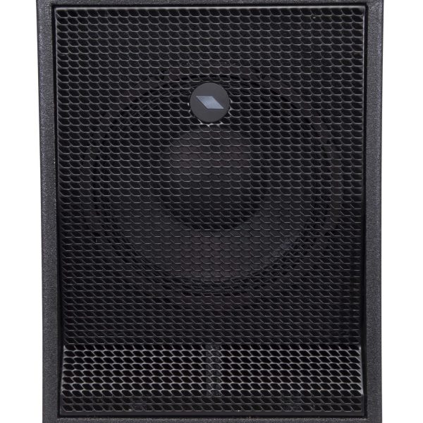 Proel S10AUS Subwoofer Activo 350w