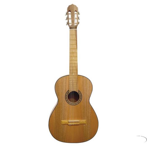 La Clasica ACUSTICA Guitarra Ecologica