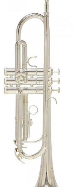 Roy Benson RB701072 Trompeta Tr-202S