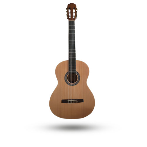 Guitarra Hoffer Ac70N Clasica