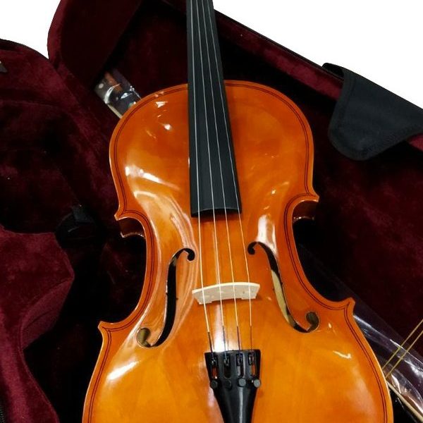 Mc-Art L1431P Viola 16 PG