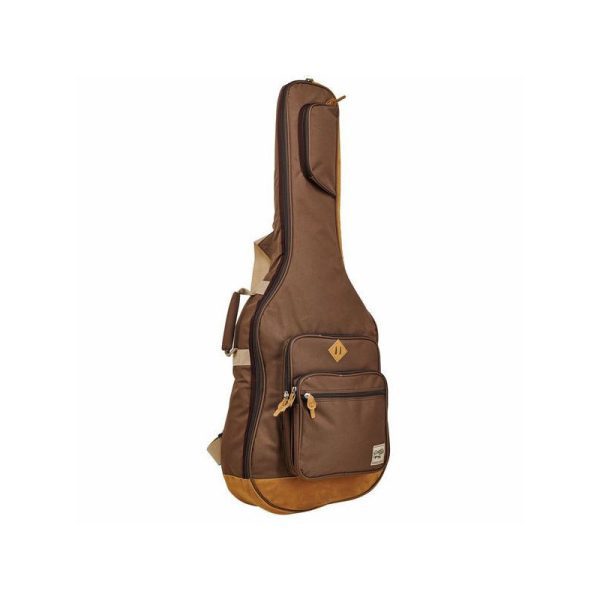 Ibanez IAB541-BR Estuche Guitarra