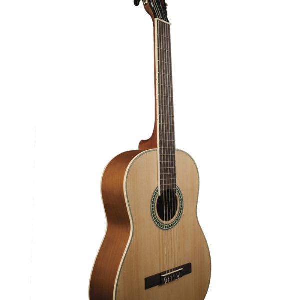 Guitarra Tagima PARATY acustica Natural