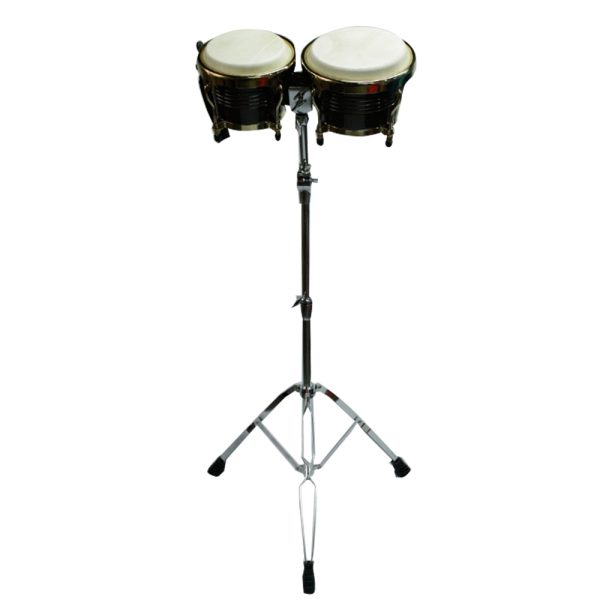 Base Dawn BOSC001 Bongo
