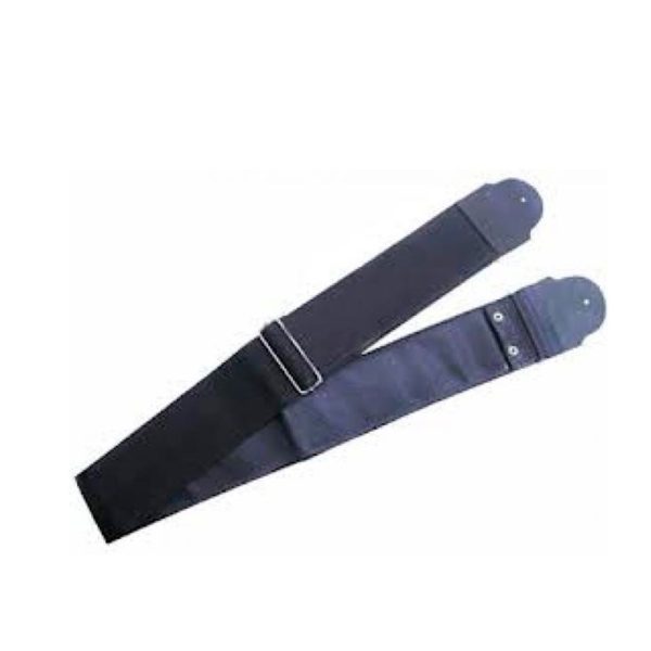 Correa Palmer PSTP1