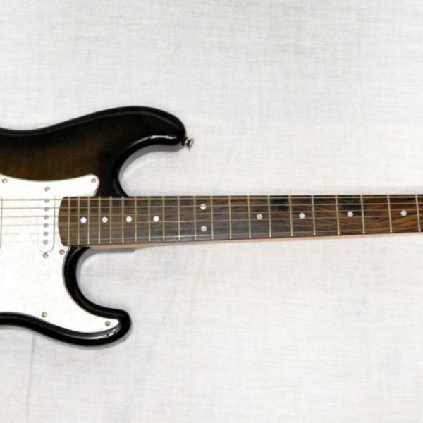 Guitarra Palmer SNEGRO electrica Pe Core