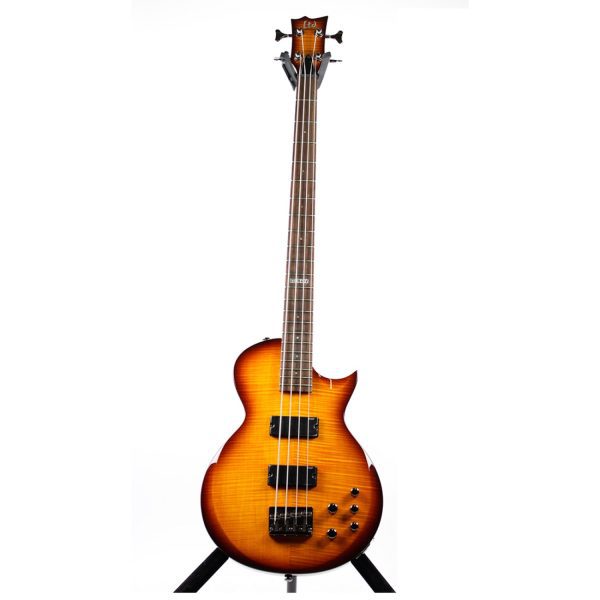 Bajo Esp B50FMDBSB Electrico Serie B Café 4C