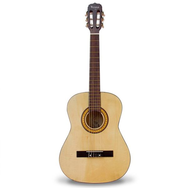 Guitarra Vizcaya ARCG34 Acustica