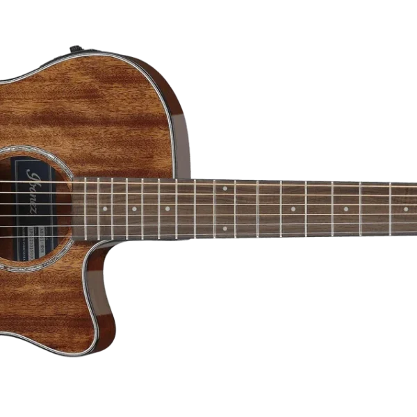 Ibanez AEG61-NMH Guitarra Electroacustica