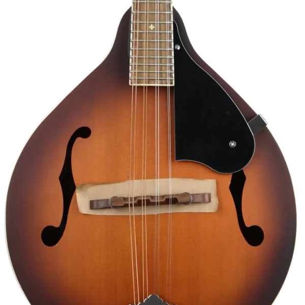 Fender PM-180E Mandolin 970382337