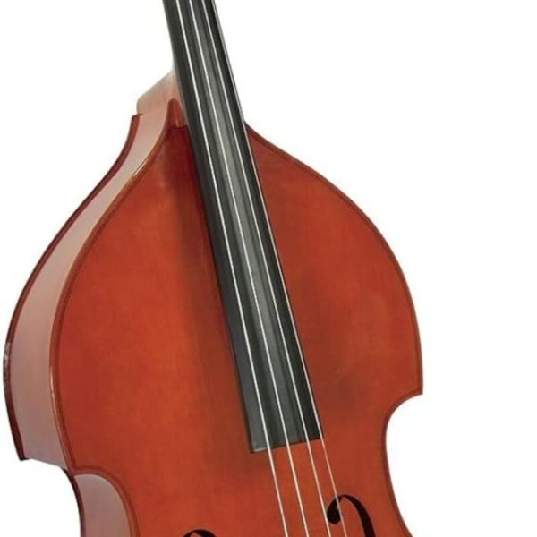 Cervini HB-100 Contrabajo