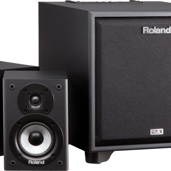Roland CM-220 Monitor