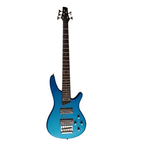 Bajo Deviser LB35 BLS Electrico 5Cuerdas