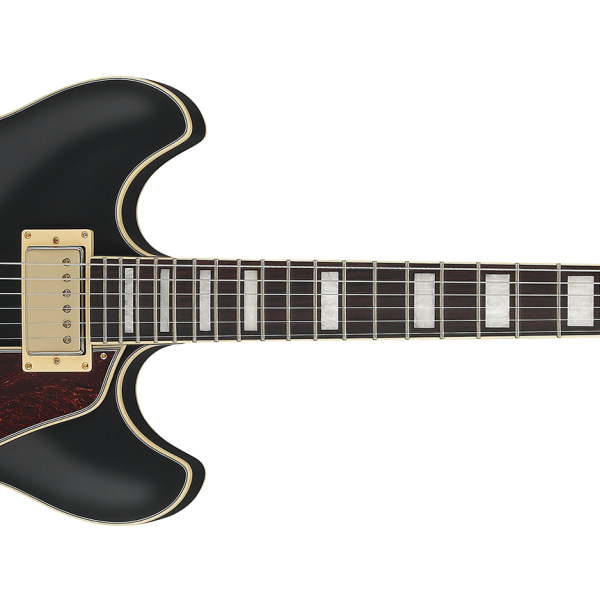 Guitarra Ibanez AS73G-BKF Artcore Hollow Black Flat