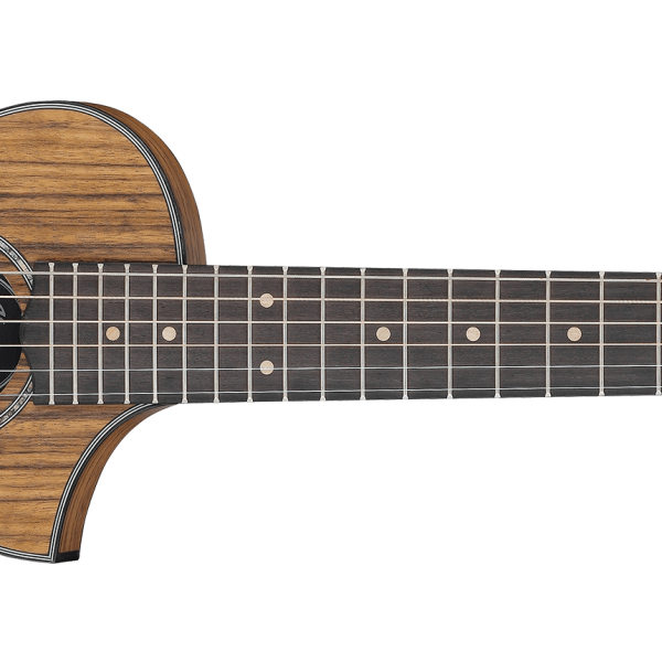 Guitarra Ibanez EWP14WB-OPN Acustica Open Pore Natural