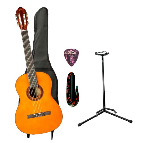 Combo Eko CS-12 Guitarra + Base, estuche y accesorios