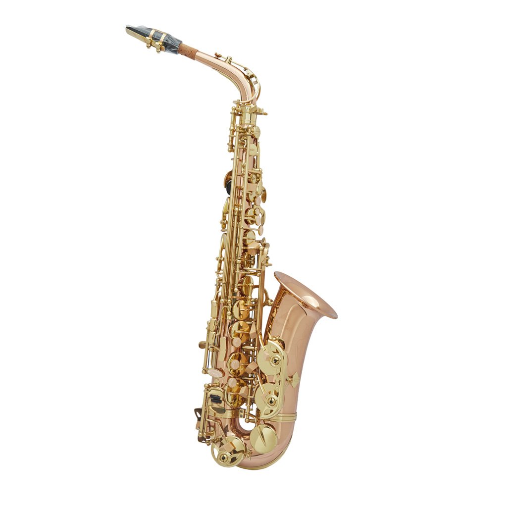 AYSON_saxofon-alto-A4.jpg
