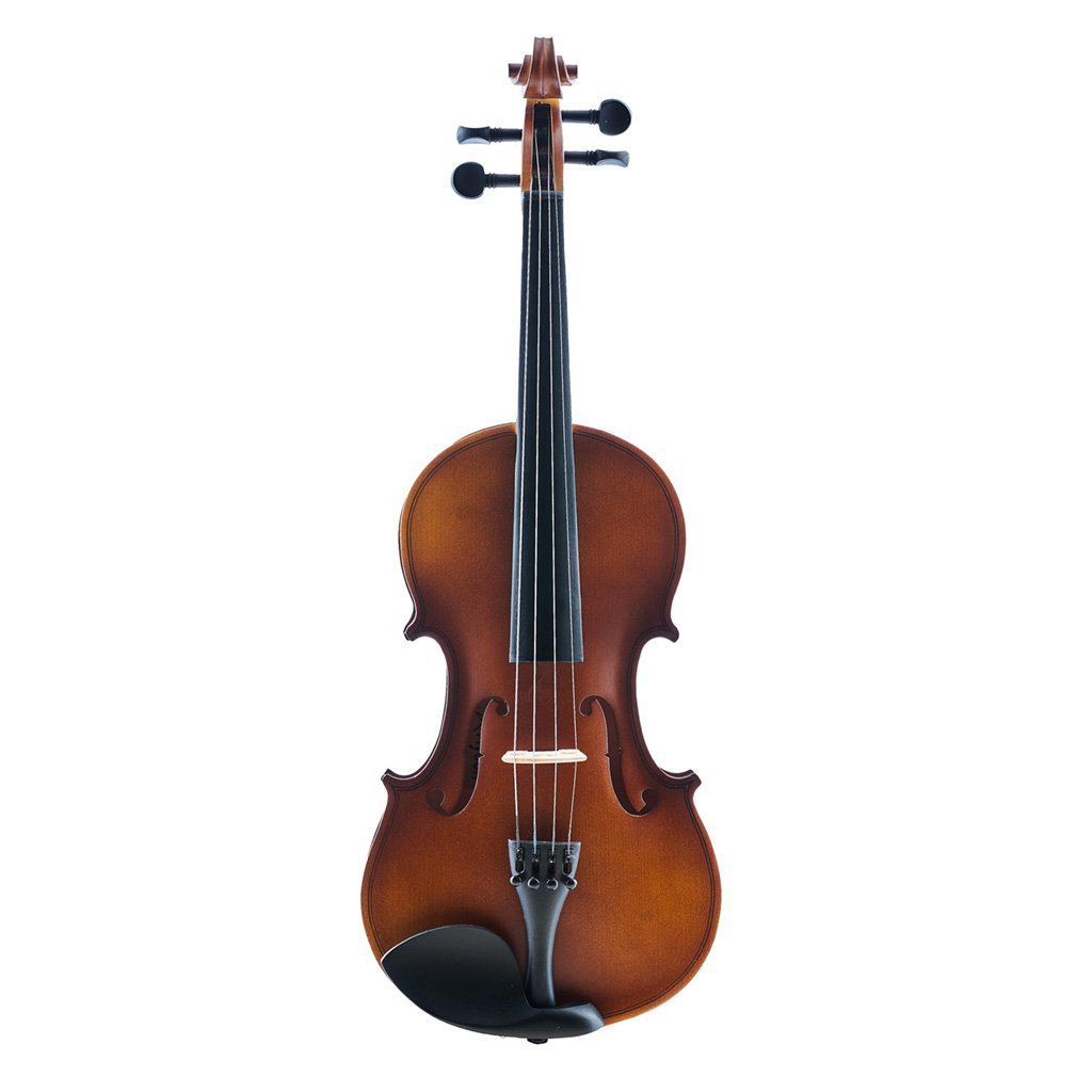 AYSON_violin_4-4_mate.jpg