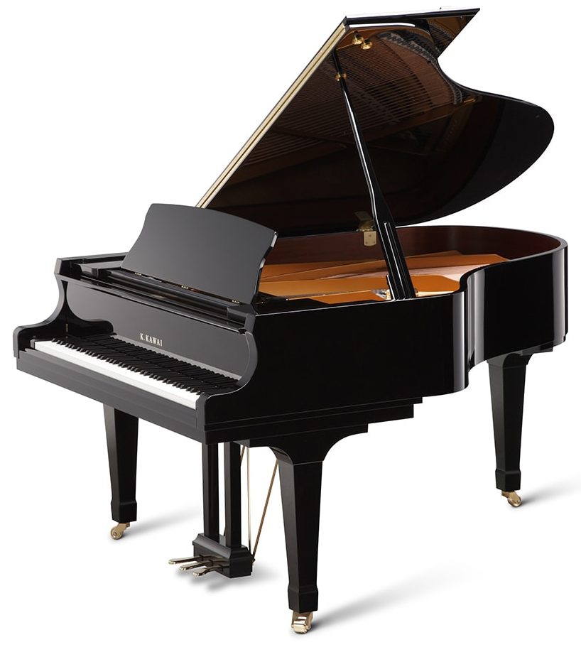 GX-3-Polished-Ebony-e1783713484812.jpg