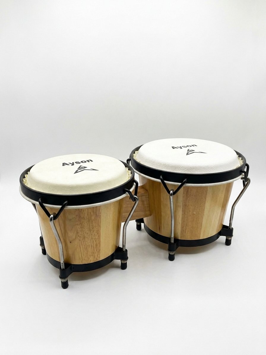 bongo-67a-2.jpg